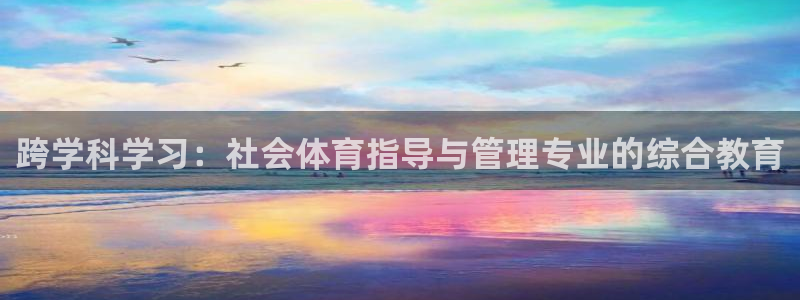 必一体育电子app：