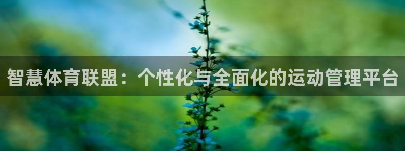 必一体育手机下载：智慧体育联盟：个性化与全面化的运动管理平台