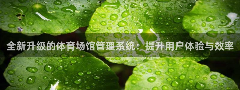 必一体育sport官方网站：全新升级的体育场馆管理系统：提升