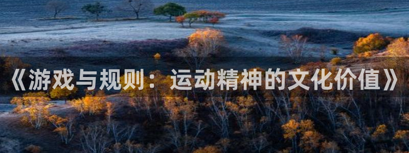 必一体育官方app下