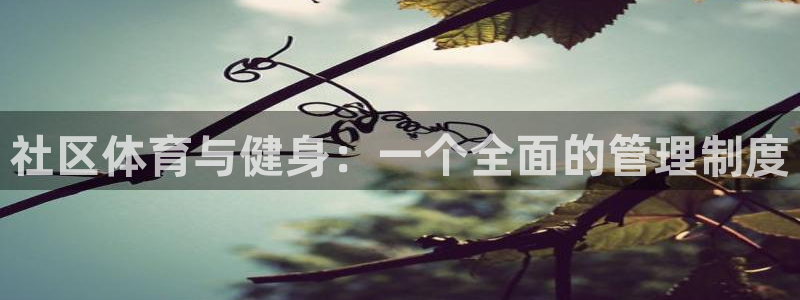 必一运动B-Sport官方网站入口：社区体育与健身：一个全面