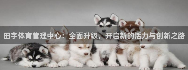 必一体育黑钱：田宇体