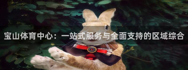 必一体育bsport下载：宝山体育中心：一站式服务与全面支持