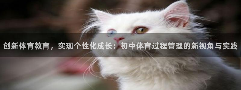 必一运动 b 体育素
