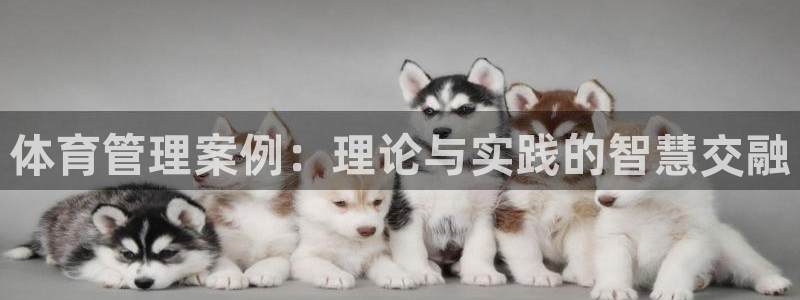 必一运动听的歌：体育管理案例：理论与实践的智慧交融