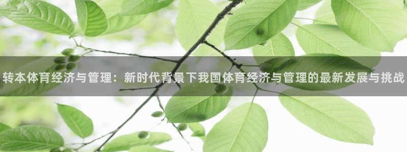 必一体育最新官网入口