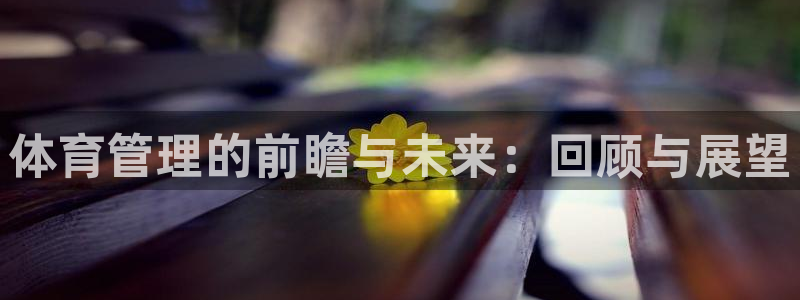 必一体育旧版：体育管