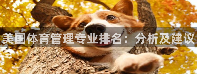 必一运动官网入口：美
