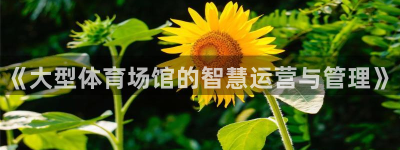 必一运动·(B-Sp