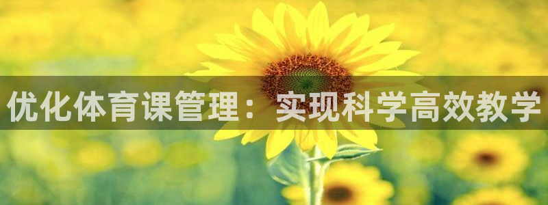 必一体育sport下