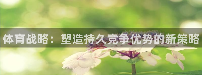 必一体育官网ios下
