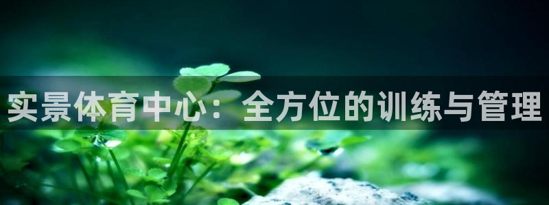 必一体育登入：实景体