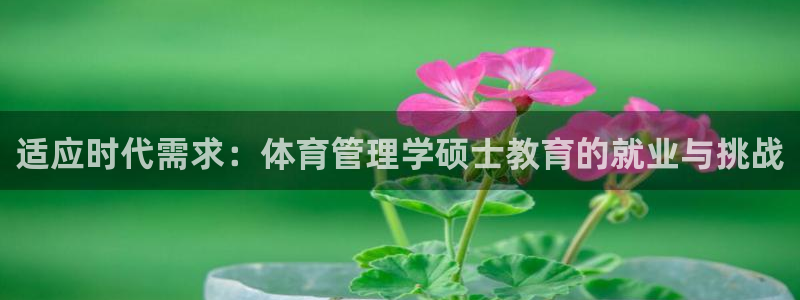 必一体育bsport