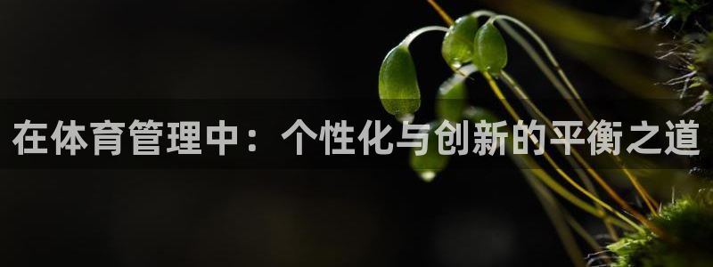 必一体育app下载：
