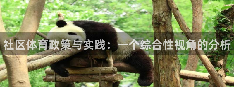 必一体育运动app下载：社区体育政策与实践：一个综合性视角的