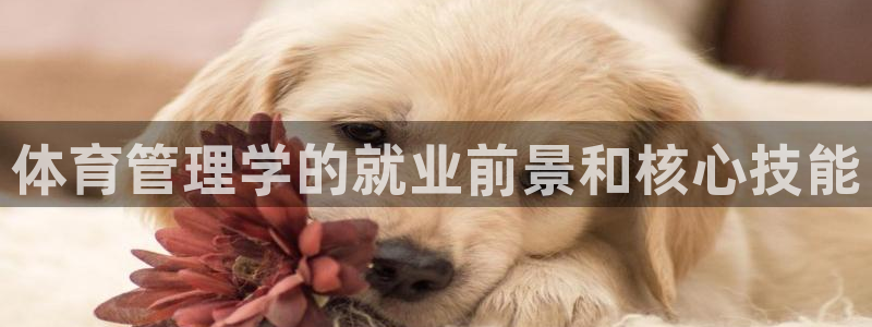 必一体育手机下载：体