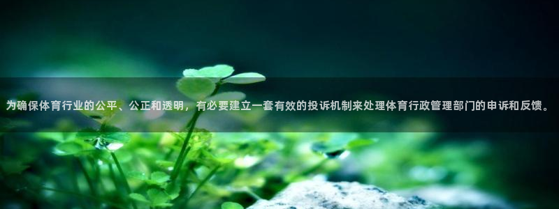 必一体育全站在线登录