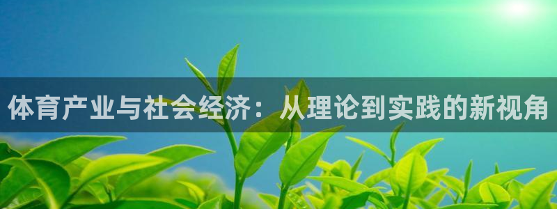 必一体育流水线是什么意思：体育产业与社会经济：从理论到实践的