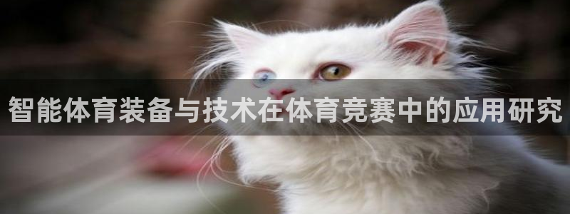 必一体育bsport