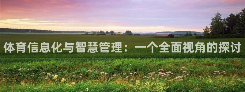 必一体育官方app下载：体育信息化与智慧管理：一个全面视角的