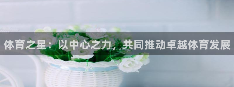 必一体育下载义：体育