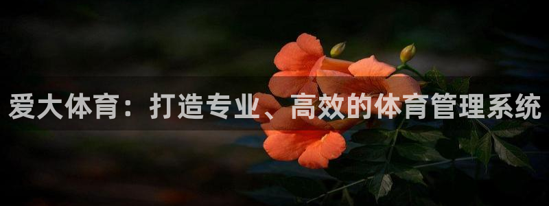 必一体育官网app：