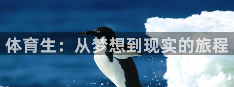 必一体育在线下载：体