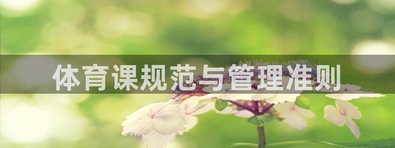 必一体育官方入口：体