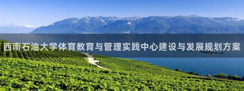 氵必一一厂一：西南石