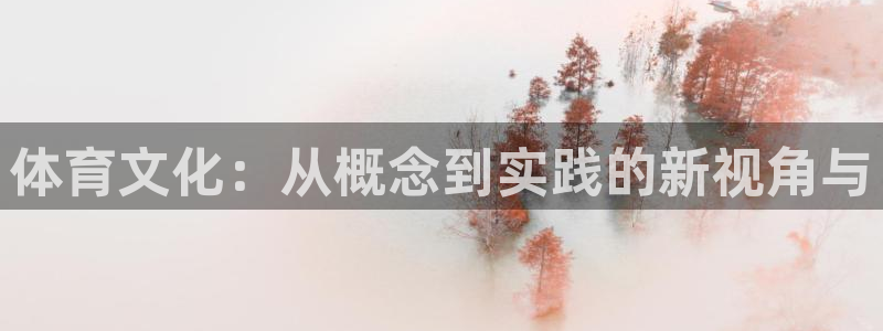必一体育下载意思：体育文化：从概念到实践的新视角与