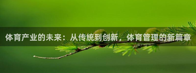 必一运动体育官网：体育产业的未来：从传统到创新，体育管理的新
