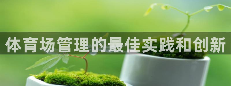 必一运动bsport体育app下载：体育场管理的最佳实践和创