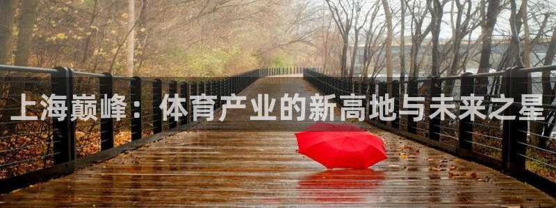 必一体育下载意思：上