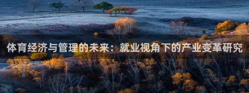 必一体育sport网