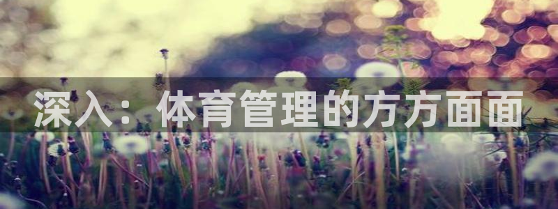 必一体育sportB体育