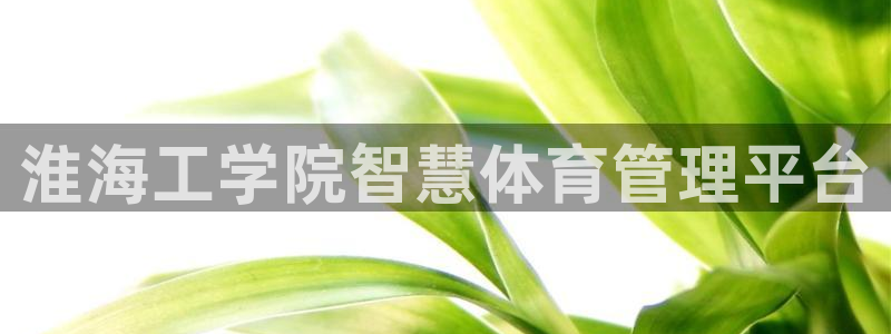 必一体育在线登录：淮