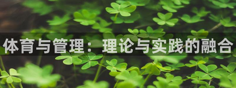 必一体育网页登录版官