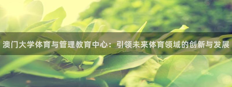 必一体育登录：澳门大