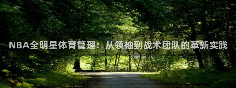 必一体育手机下载：N