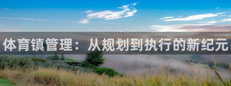 必一体育网页：体育镇