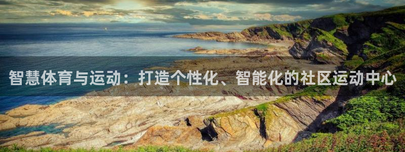 必一体育sport网