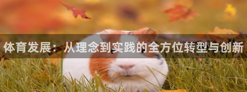 b体育必一下载：体育