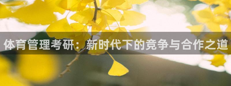 b体育官网下载入口a