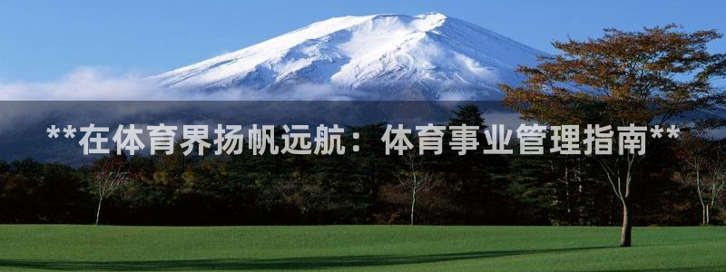 必一体育APP：**