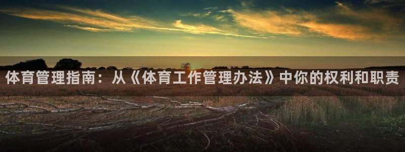 必一体育sport官