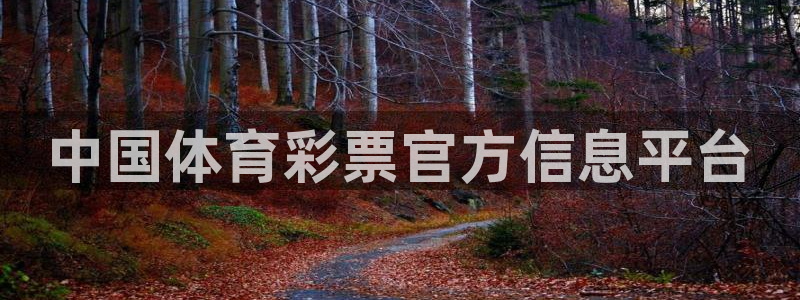 必一体育app下载安装