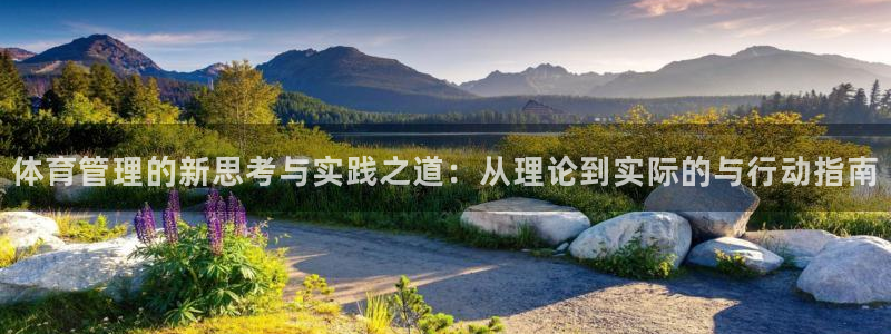 必一运动：体育管理的