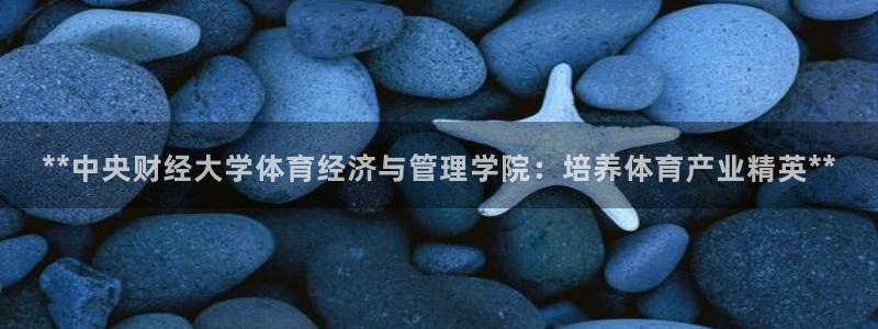 必一体育app官方下载入口：**中央财经大学体育经济与管理学