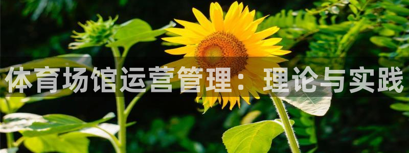 必一体育合法吗：体育场馆运营管理：理论与实践