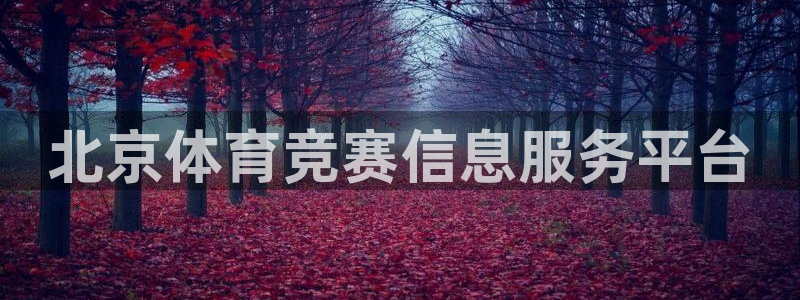 必一体育sport官方网站